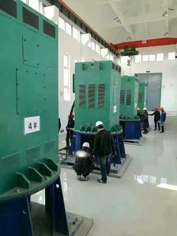 YKK4003-4某污水处理厂使用我厂的立式高压电机安装现场生产厂家