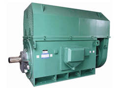 YKK4003-4Y系列6KV高压电机
